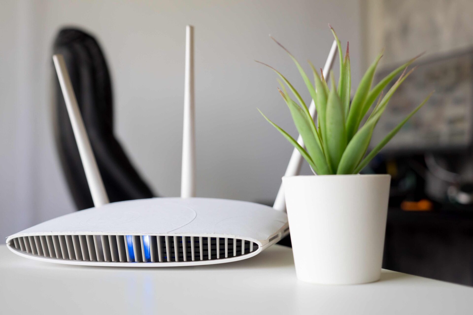 A wi-fi router on a table next to a potted plant.